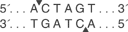 ACTAGT