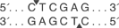 CTCGAG